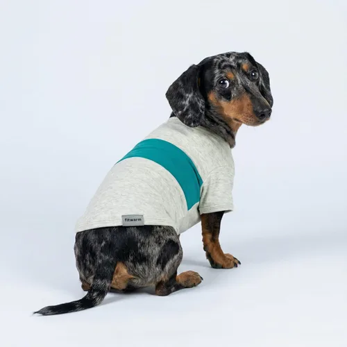 Miniatura 5 de Fitwarm - Paquete de 3 camisas con bloques de color a rayas para perros, ropa de verano para perros pequeños, camiseta ligera y transpirable