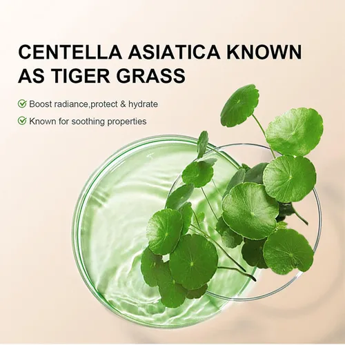 Miniatura 4 de Crema CC Hidratante con Centella Asiática - Base con Multiusos Pre-maquillaje, Hidratante Facial, Corrector, Protector Solar, Crema CC de Cobertura