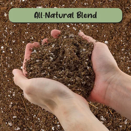 Miniatura 3 de Soil Sunrise Mezcla de tierra para macetas de rosas del desierto (8 cuartos) Mezcla de tierra de lotes pequeños mezclados a mano para plantas