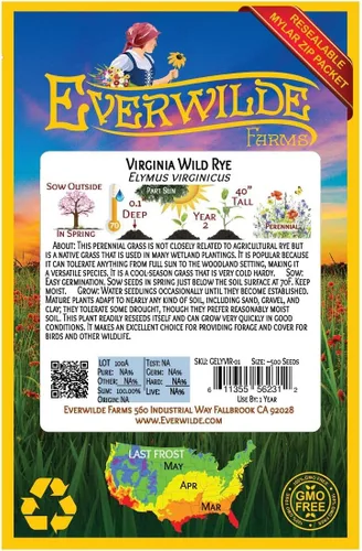 Miniatura 2 de Everwilde Farms - 500 semillas de hierba nativa de centeno silvestre de Virginia - Paquete de semillas jumbo Gold Vault