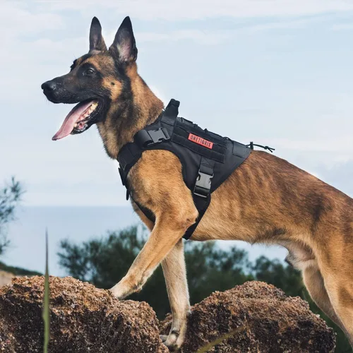 Miniatura 5 de OneTigris - Arnés táctico con mango para perro, arnés para perros grandes, chaleco de perro de servicio sin tirones con paneles de gancho y bucle