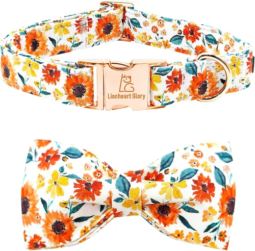 Miniatura 14 de Lionheart glory Collar de lazo para perro para el día de San Valentín, collar de perro para perros grandes, collares de perro con corazones con A