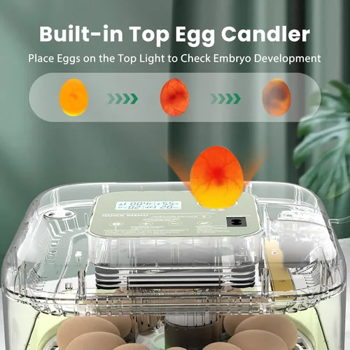 Miniatura 5 de Incubadora de 12 huevos con pantalla de humedad y vela integrada, girador automático, control de temperatura y humedad, recarga automática de agua