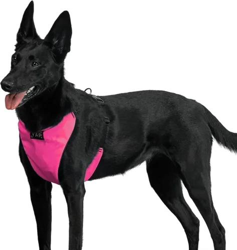 Miniatura 10 de YAP Techno® - Arnés para perro sin tirones, ajustable en 4 direcciones, arnés de chaleco para perro con control de temperatura, arnés para perro sin