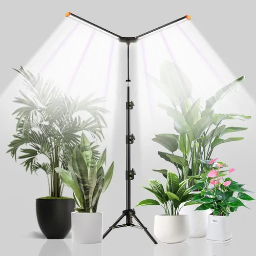 YEOLEH Lámpara de pie para plantas grandes y altas en interiores, luz blanca de 6000 K de espectro completo con LED rojo y azul, tira de luz
