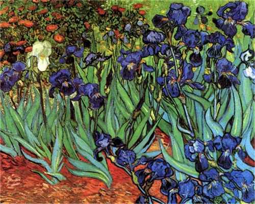 YEESAM ART Van Gogh - Pintura por números para adultos, flores de iris de 16 x 20 pulgadas, lienzo de lino acrílico, kit de pintura numérica para