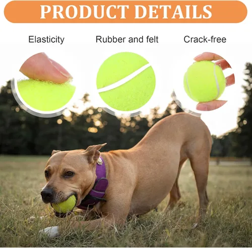Miniatura 3 de DIVINA VITAE 20 pelotas de tenis pequeñas para perros, 2 pulgadas, coloridas mini pelotas de tenis para todos los lanzadores de pelotas de perro