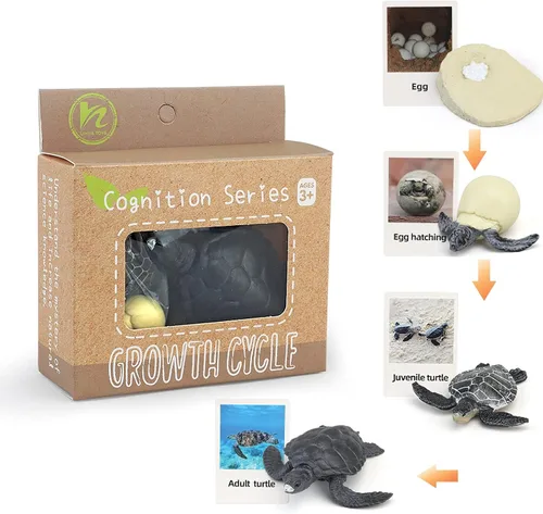 Miniatura 8 de Figuras del Ciclo de Vida de Animales Montessori con Tarjetas Flash, Juguetes de Figuritas de Animales Realistas, Juego Educativo de Emparejamiento