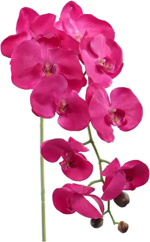 Larksilk Tallos de orquídeas artificiales, flores falaenopsis decorativas ultra realistas, fucsia, 33.5 pulgadas de alto, paquete de 2
