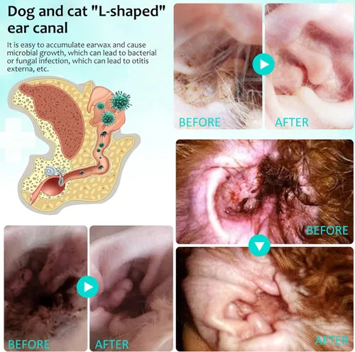 Miniatura 5 de VOSIFSDIY Tratamiento de ácaros para perros y gatos, tratamiento de infección de oído de perro, tratamiento de ácaros de oído para infección por
