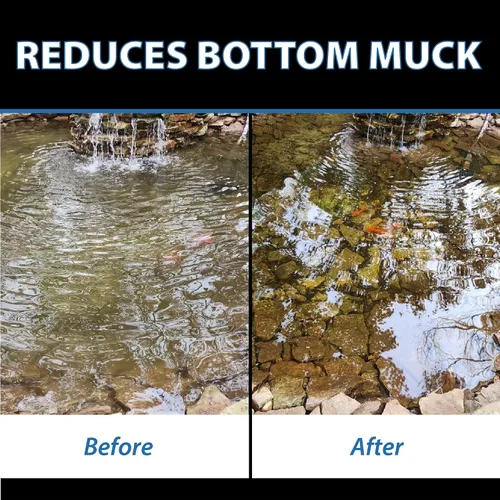 Miniatura 4 de CrystalClear MuckOff, Tratamiento Natural de Lodo para Estanques, Limpiador de Jardín Acuático, Eliminador de Lodo para Fuentes y Baños para Aves