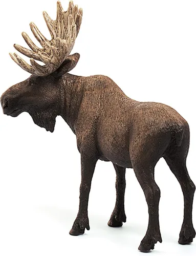 Miniatura 9 de Schleich Wild Life - Figura de alce de toro – Figura de juguete de animales salvajes, duradera para educación y juego imaginativo para niños