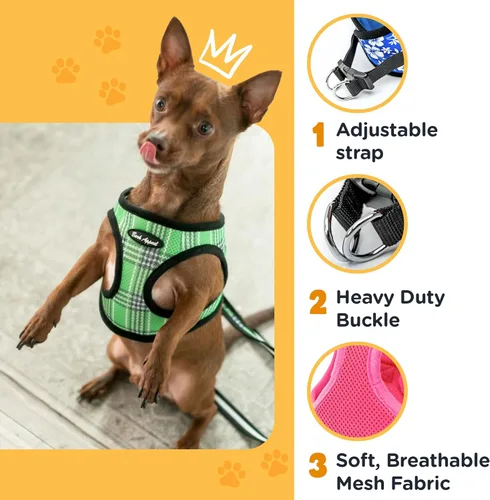 Miniatura 4 de Bark Appeal Arnés Escalonado para Perro Azul Aguamarina para Mascotas Pequeñas-Medianas – Tallas Actualizadas, Volver a Medir es Esencial – Arnés