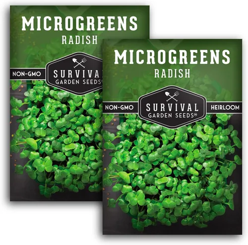 2 paquetes de semillas de rábano para plantar y cultivar – Planta microvegetales de hoja verde en interiores – Cultiva tu propio mini jardín de