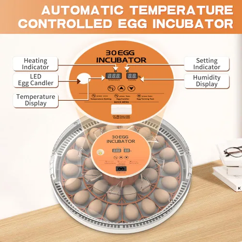 Miniatura 5 de incubadoras para incubar huevos,Incubadora de 30 huevos,Incubadora de huevos con giro automático de huevos,Incubadora para huevos