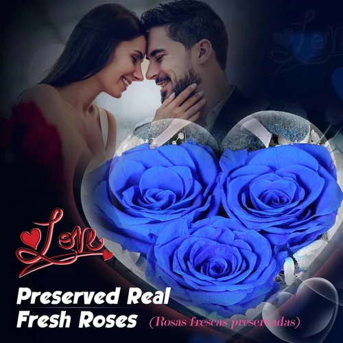 Miniatura 3 de AddWel Regalos de rosas para mujer, rosas azules reales preservadas con collar I Love You en 100 idiomas y lindo oso de musgo para novia, esposa