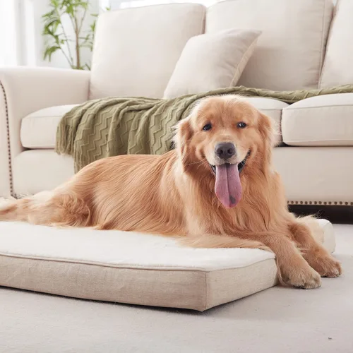 Miniatura 3 de WATANIYA PET Cama extragrande para perros, camas refrescantes para perros grandes, cama ortopédica lavable para mascotas para jaula con espuma Beige