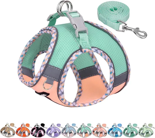 Miniatura 10 de AIITLE Arnés y Correa para Perro XXS - Arnés Pequeño para Perro Reflectante y sin Tirones, Transpirable para Cachorros Taza, Uso en Negro