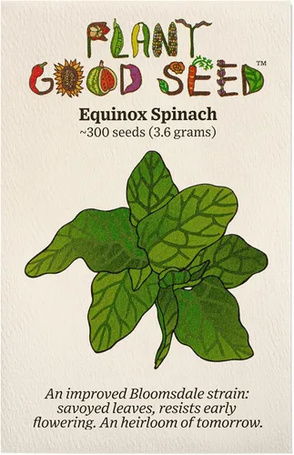 Plant Good Seed Semillas orgánicas de equinoccio de espinaca, paquete de 300, semillas tradicionales para plantar verduras, suministros de