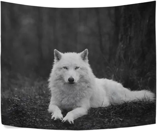 WellLee Tapiz de tela de lobo solitario con diseño de lobo, para dormitorio, decoración del hogar, 60 x 40 pulgadas