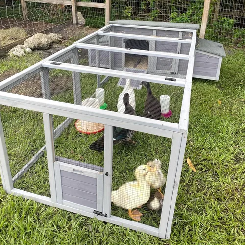 Miniatura 16 de Gutinneen Jaula de Aves de Jardín Exterior de Madera con Nido para Pollos con 2 Puestos, 2 Grandes Puertas Frontales