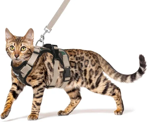 Miniatura 7 de PUPTECK Juego de arnés y correa para gato a prueba de escape para caminar, chaleco de malla transpirable arnés ajustable para gatos cachorros Negro