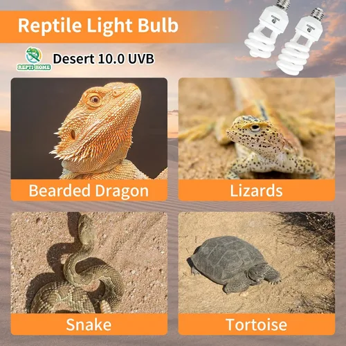 Miniatura 7 de Luz de reptil UVA UVB de 23 W 10.0, terrario del desierto, lámpara fluorescente compacta, bombilla de reptil UVB para dragón barbudo, lagarto