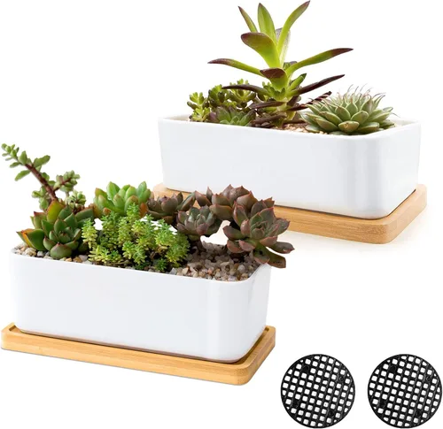 Macetas de cerámica blanca para suculentas, macetas para suculentas de interior y exterior, juego de 2 pequeños contenedores para cactus, macetas