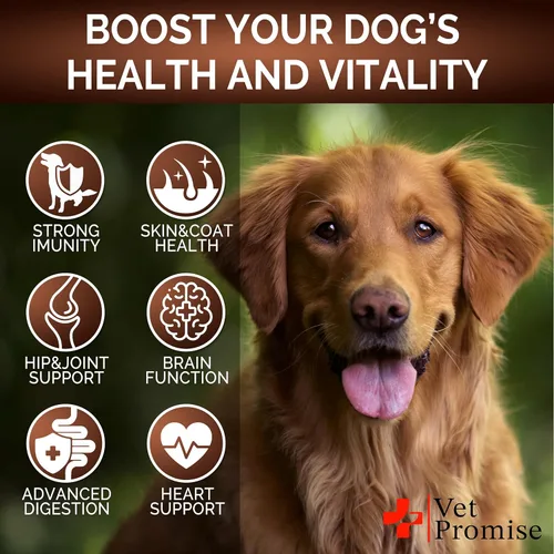 Miniatura 4 de Hongo Cola de Pavo para Perros - 170 Masticables - Suplemento de Hongos para Perros - Melena de León - Reishi - Apoyo Inmunológico Multivitamínico