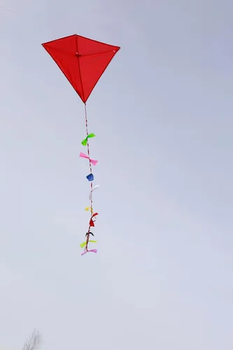 Miniatura 4 de Kikkerland Cometa roja de arándano