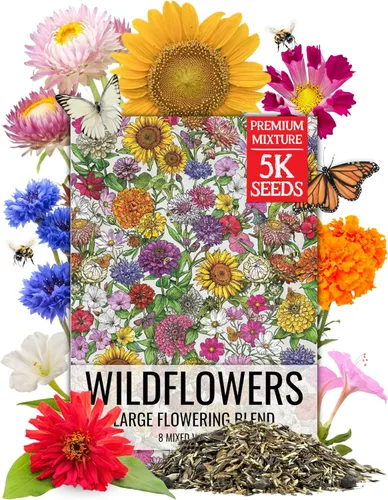 Miniatura 10 de Seed Needs Mezcla de semillas de girasol para plantar Sunset Blend 7 variedades Más de 1000 semillas Helianthus Annuus Heirloom Semillas de flores