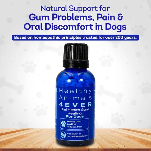 Miniatura 2 de HA4E - Suplemento de salud oral para perros - Alivia la inflamación, alivia el dolor y combate la enfermedad de las encías - Natural, sin OMG