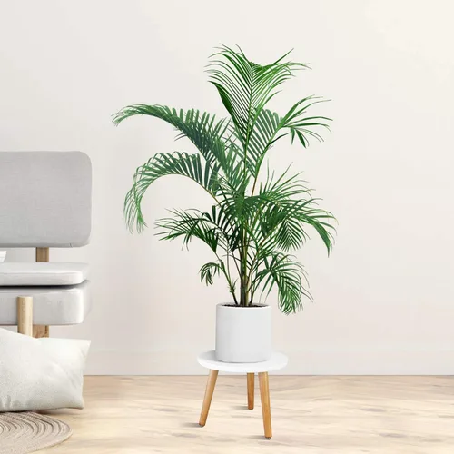 Miniatura 6 de Uneedem - Soporte para plantas de interior, mesa moderna de madera de mediados de siglo para plantas de interior, 8.9 pulgadas de alto para macetas