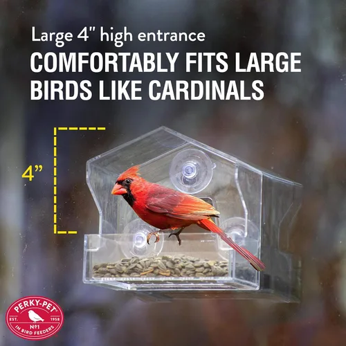 Miniatura 5 de Perky-Pet Comedero transparente para pájaros con ventosas fuertes, capacidad de semilla de 1/2 libra, Perky Pet 345, entretenida alimentación