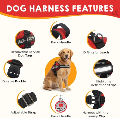 Miniatura 4 de Chaleco para Perro de Servicio + Etiqueta de Identificación + 50 Tarjetas de Información ADA - Arnés para Perro de Servicio con Parche en Tallas