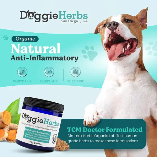 Miniatura 2 de Apoyo antiinflamatorio natural – Mezcla de corydalis, curcumina y cúrcuma de grado clínico – Polvo formulado por médicos TCM para rigidez, dolores