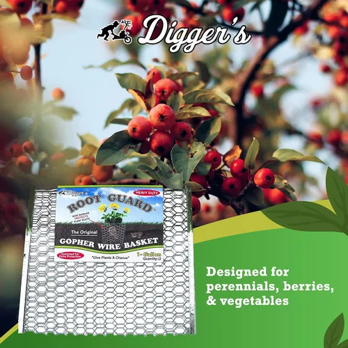 Miniatura 3 de Digger's - Cesta de alambre resistente de 1 galón, cesta de alambre Gopher para plantas perennes y verduras (12 cestas)