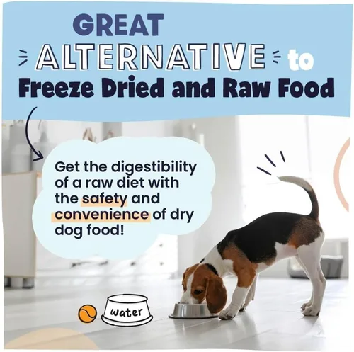 Miniatura 6 de Pawstruck Alimento para perros secado al aire con pollo real, sin granos, fabricado en Estados Unidos, sin OMG, recomendado por veterinarios, alto