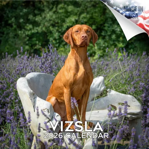 Miniatura 141 de Calendario 2025 2026 de cachorros Cocker Spaniel - Calendario mensual de pared de raza de perro - 12" x 24" abierto - Papel grueso sin sangrado