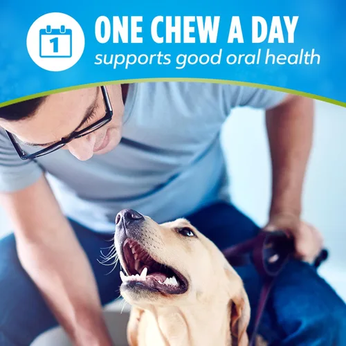Miniatura 8 de DentaLife ActivFresh - Masticables para perros grandes de 40 libras en adelante, masticables dentales para refrescar el aliento, sabor a pollo, 24.1