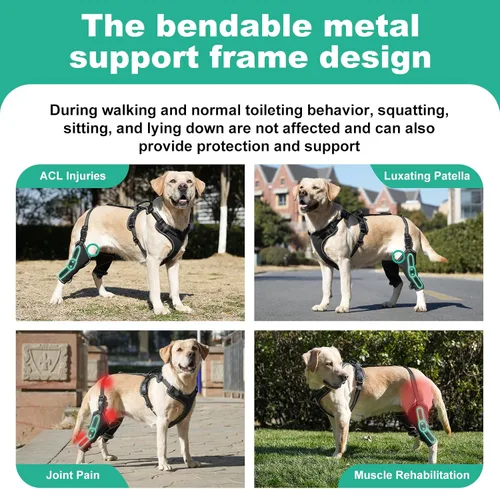 Miniatura 4 de Soporte de cadera para perro para rehabilitación muscular con cuerda de tracción, diseño ajustable de cuatro extremidades para aliviar el dolor