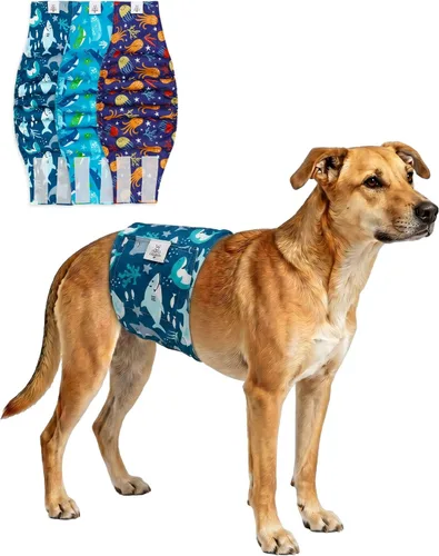 Miniatura 44 de CuteBone - Pañales lavables para perro macho, banda abdominal, paquete de 3 unidades, color negro, modelo DM54XS