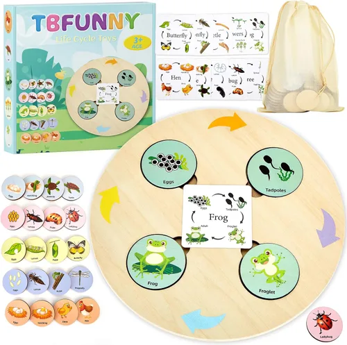 Juguetes de ciclo de vida para niños, kits educativos de ciencia, juguetes Montessori para niños de 3, 4, 5, 6 años en adelante, aprendizaje de