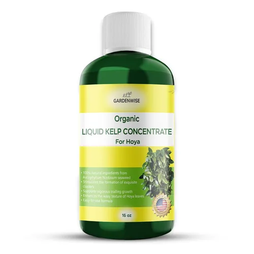 Miniatura 21 de GARDENWISE Fertilizante orgánico prémium de anturio de algas marinas – Alimento líquido para plantas de algas marinas – Potenciador de suelo rico
