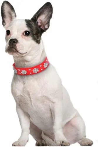 Miniatura 4 de Serijoars Collar para perro y gato con diamantes de imitación - Collar brillante de cuero PU ajustable, tallas XS, S, M (XS, negro)
