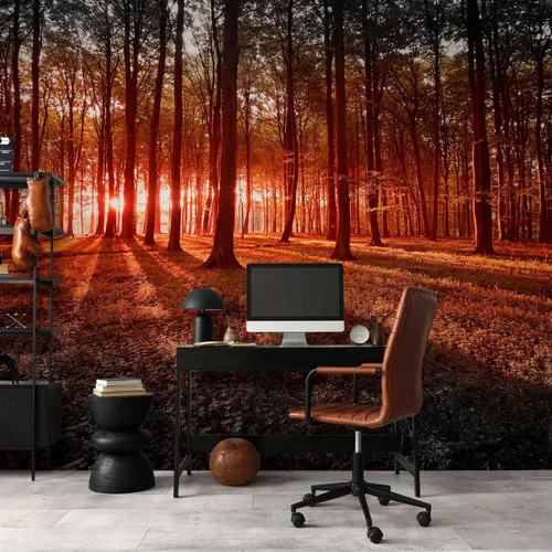 Miniatura 6 de artgeist Mural de pared prémium Bosque de 79 x 55 pulgadas, papel tapiz fotográfico no tejido, impresión artística, mural de pared de forro polar