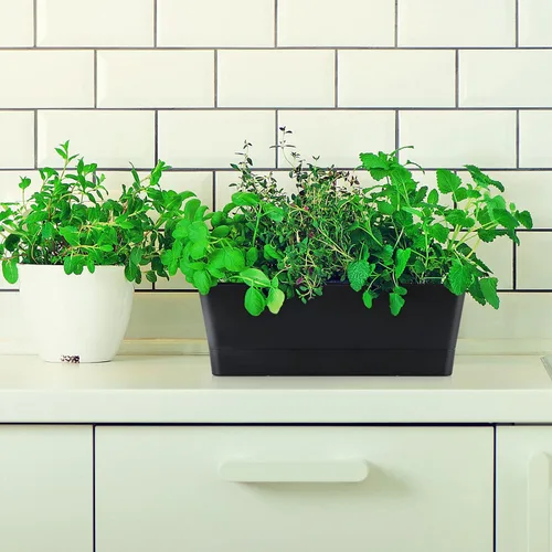 Miniatura 6 de Skelang Maceta rectangular de 3 piezas, maceta de flores de 12 pulgadas, contenedor para alféizar de ventana para suculentas, hierbas, verduras Negro