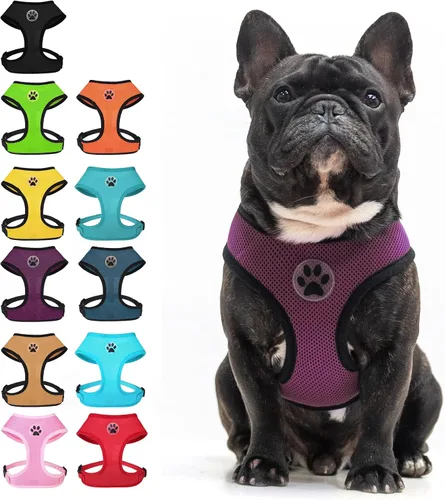 Miniatura 15 de BINGPET Arnés para perro sin tirones, arnés de chaleco tipo step-in de malla para todo clima para perros pequeños, arnés de malla transpirable