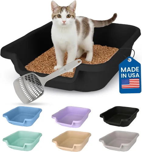Miniatura 25 de KittyGoHere - Caja de arena para gatos mayores, sartén pequeña con cuchara jumbo de mango largo, caja de arena para gatos de entrada baja, ligera