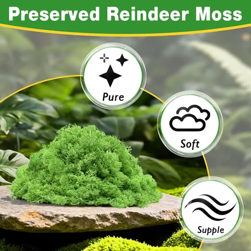 Miniatura 3 de Halatool Musgo de reno preservado para manualidades, musgo verde para terrarios, jardines de hadas, manualidades, decoración del hogar, ideal
